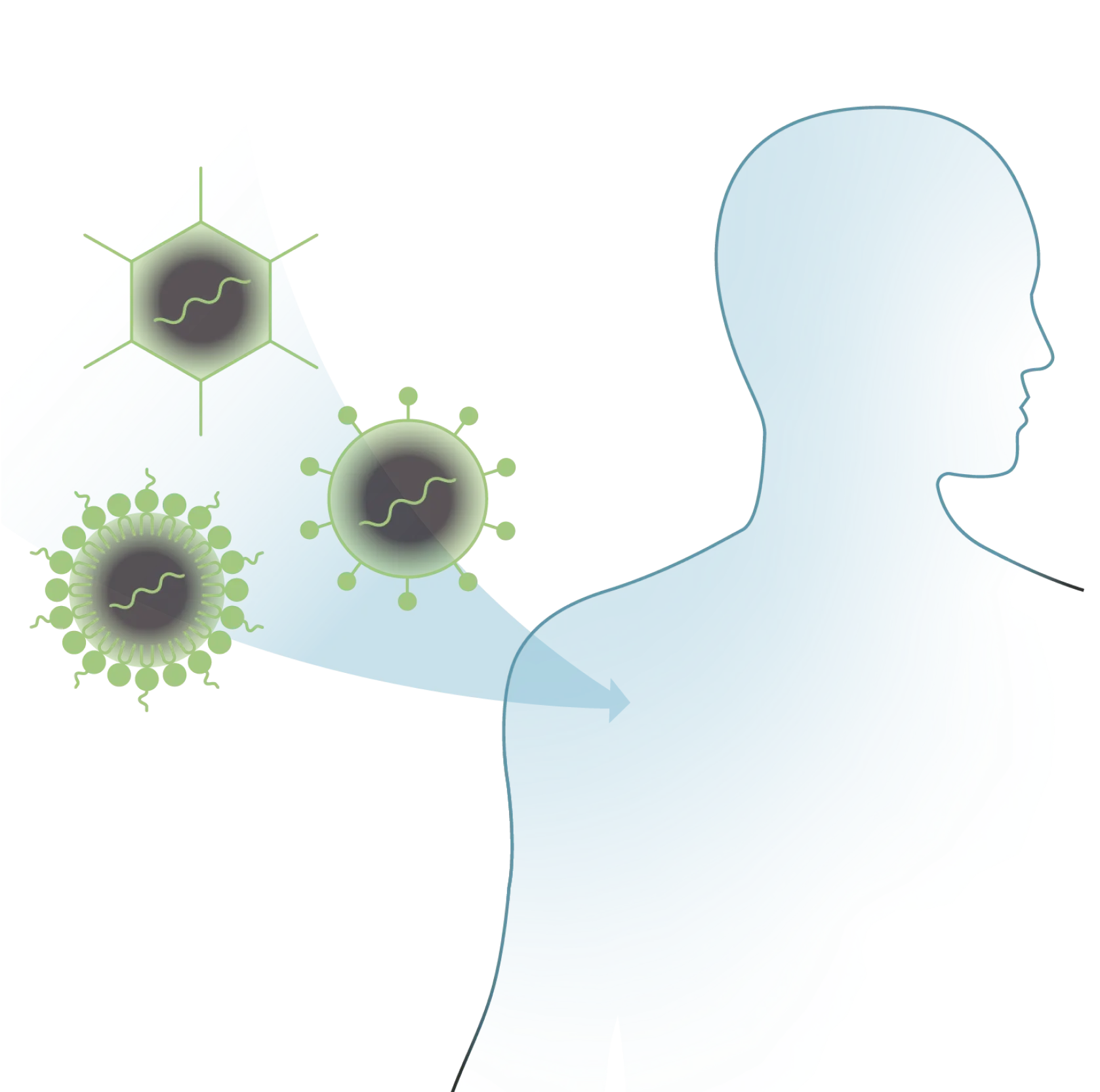 Redesigned HERVs can be expressed and delivered into the body using adenoviral, virus-like particle, and mRNA vectors